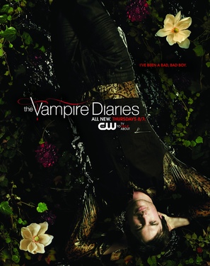 &quot;The Vampire Diaries&quot; - Movie Poster (thumbnail)