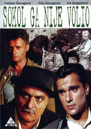 Sokol ga nije volio Poster
