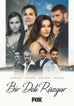 &quot;Bir Deli R&uuml;zgar&quot; - Turkish Movie Poster (thumbnail)