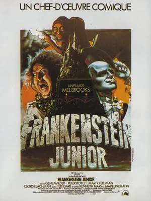 Young Frankenstein - French Movie Poster (thumbnail)