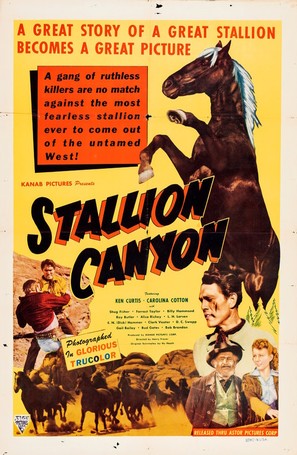 Stallion Canyon - Movie Poster (thumbnail)