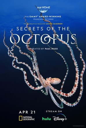 Secrets of the Octopus - Movie Poster (thumbnail)