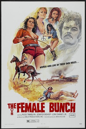 The Female Bunch - Theatrical movie poster (thumbnail)
