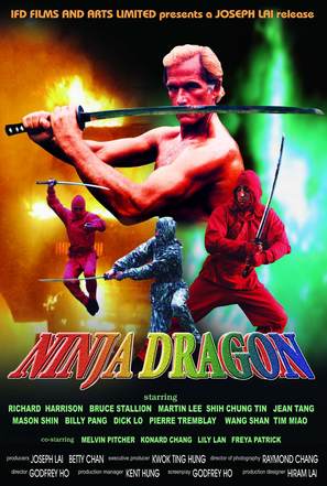 Ninja Dragon - Hong Kong Movie Poster (thumbnail)
