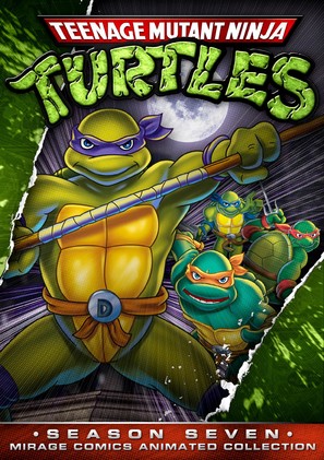 &quot;Teenage Mutant Ninja Turtles&quot; - DVD movie cover (thumbnail)