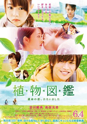 Evergreen Love - Japanese Movie Poster (thumbnail)