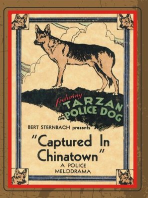 Captured in Chinatown - Movie Poster (thumbnail)