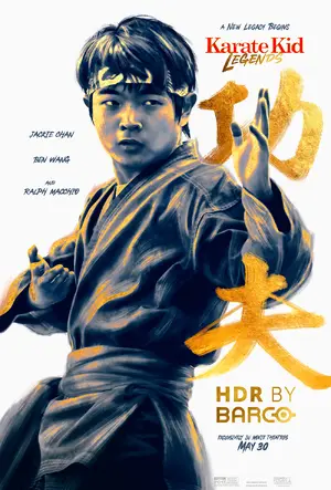 Karate Kid: Legends Poster