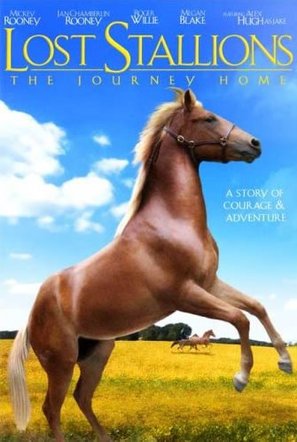 Lost Stallions: The Journey Home - DVD movie cover (thumbnail)