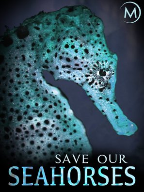 Save our Seahorses - Irish Movie Cover (thumbnail)