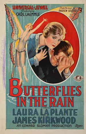 Butterflies in the Rain Poster