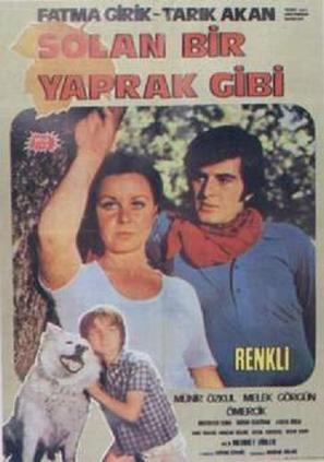 Solan bir yaprak gibi - Turkish Movie Poster (thumbnail)