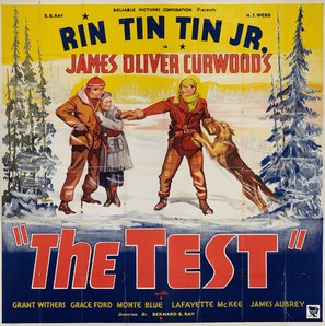 The Test - Movie Poster (thumbnail)