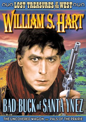 Bad Buck of Santa Ynez - DVD movie cover (thumbnail)