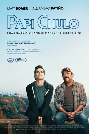 Papi Chulo - Irish Movie Poster (thumbnail)
