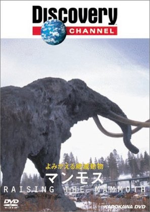 Raising the Mammoth - Japanese DVD movie cover (thumbnail)