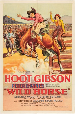 Wild Horse - Movie Poster (thumbnail)