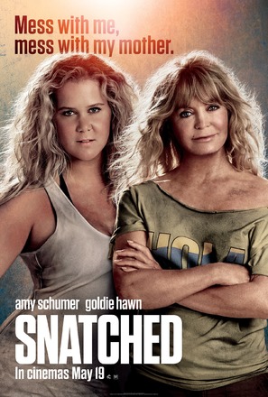 Snatched - British Movie Poster (thumbnail)