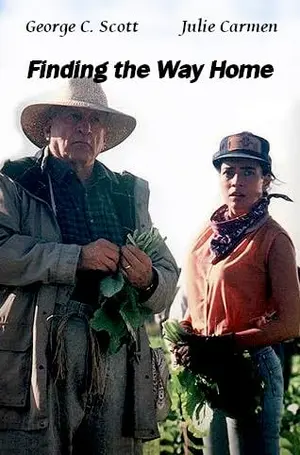 Finding the Way Home Cover