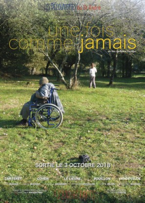 Une fois comme jamais - French Movie Poster (thumbnail)