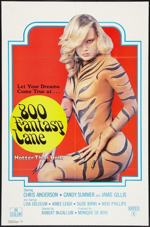 800 Fantasy Lane - Movie Poster (thumbnail)