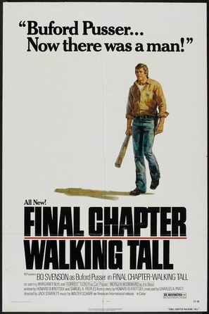 Final Chapter: Walking Tall - Movie Poster (thumbnail)