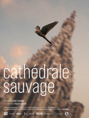 Cath&eacute;drale Sauvage - French Movie Poster (thumbnail)