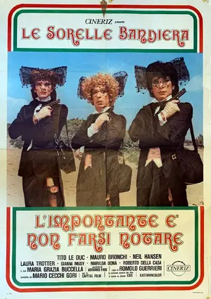L'importante è non farsi notare Poster
