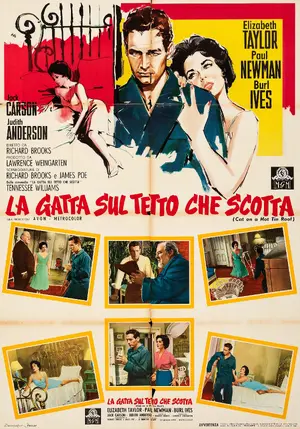 Cat on a Hot Tin Roof Poster