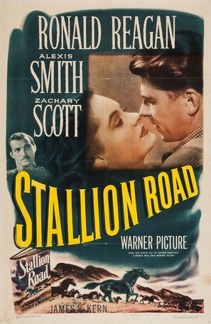 Stallion Road - Movie Poster (thumbnail)
