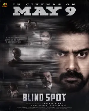 Blind Spot Poster