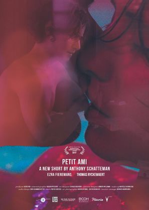 Petit ami - Belgian Movie Poster (thumbnail)