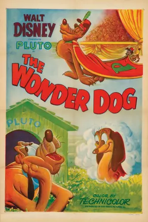 Wonder Dog Poster