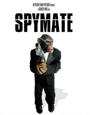 Spymate - DVD movie cover (thumbnail)