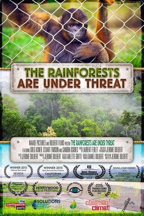 The Rainforests Are Under Threat