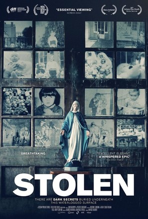 Stolen - Irish Movie Poster (thumbnail)