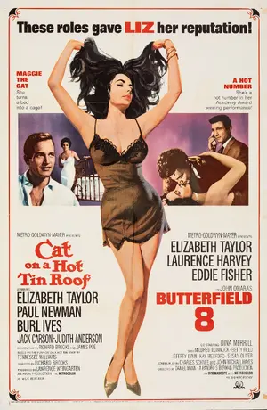 Cat on a Hot Tin Roof Poster