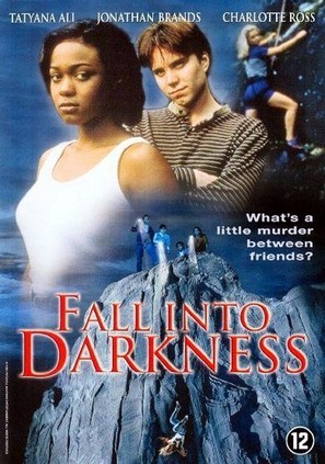 Fall Into Darkness - DVD movie cover (thumbnail)