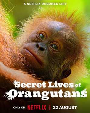 Secret Lives of Orangutans - British Movie Poster (thumbnail)