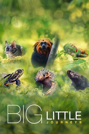 &quot;Big Little Journeys&quot; - British poster (thumbnail)