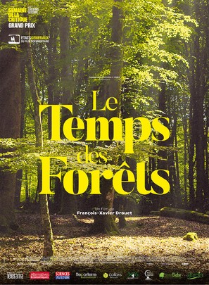 Le temps des for&ecirc;ts - French Movie Poster (thumbnail)