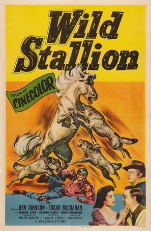 Wild Stallion - Movie Poster (thumbnail)