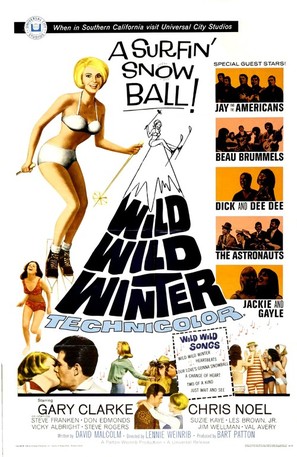 Wild Wild Winter - Movie Poster (thumbnail)