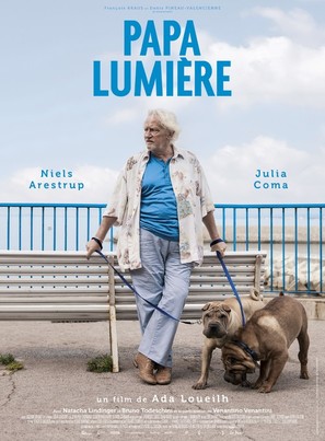 Papa lumi&egrave;re - French Movie Poster (thumbnail)