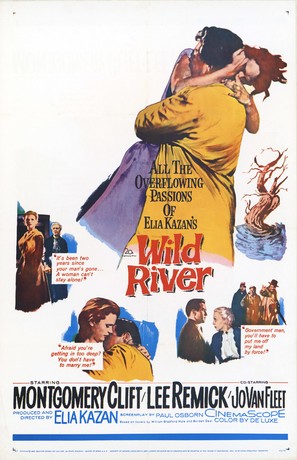 Wild River - Movie Poster (thumbnail)