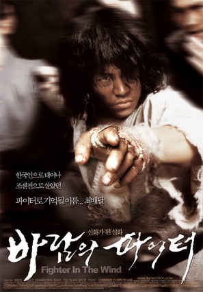 Baramui Fighter - South Korean Movie Poster (thumbnail)