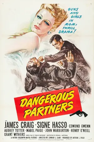 Dangerous Partners Poster