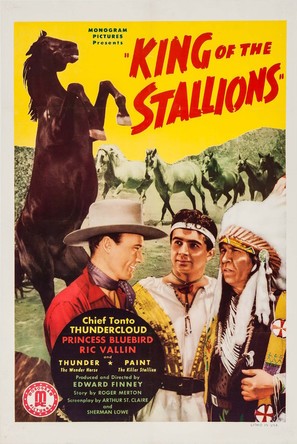 King of the Stallions - Movie Poster (thumbnail)