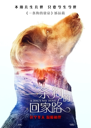 A Dog&#039;s Way Home - Chinese Movie Poster (thumbnail)