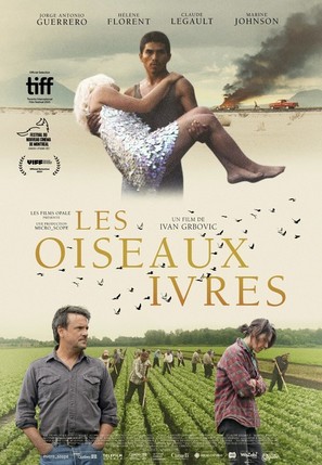 Les oiseaux ivres - Canadian Movie Poster (thumbnail)